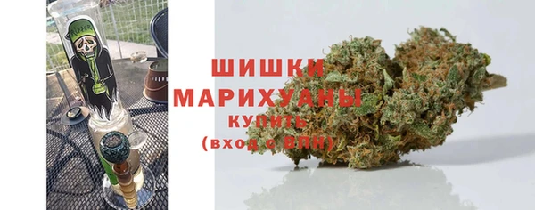 mdpv Вяземский
