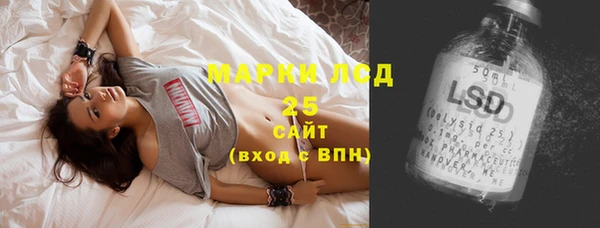 стаф Вязьма