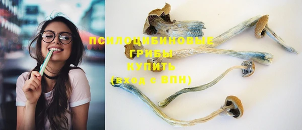 соль ск Вязники