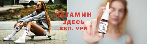 стаф Вязьма
