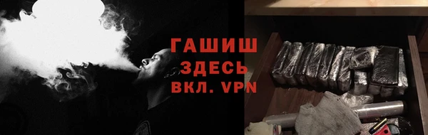 стаф Вязьма