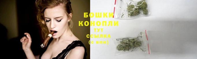 стаф Вязьма