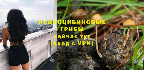 mdpv Вяземский