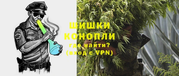 стаф Вязьма