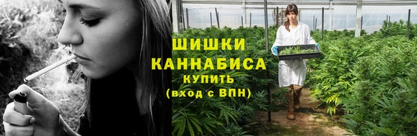стаф Вязьма