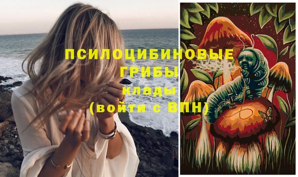 соль ск Вязники