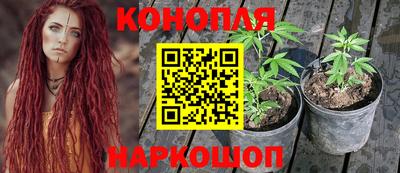 ГАЛЛЮЦИНОГЕННЫЕ ГРИБЫ Балахна