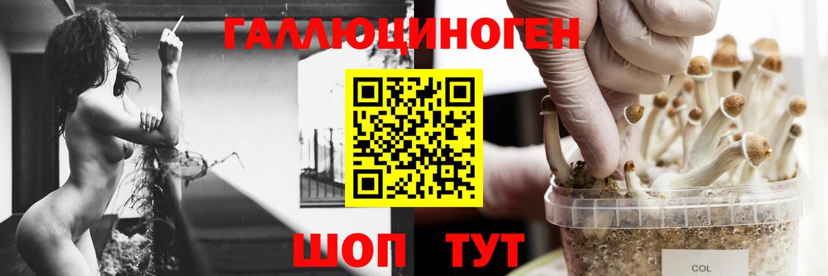 Псилоцибиновые грибы прущие грибы Дивногорск